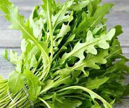 Arugula, spinach, greens, basil, lettuce 