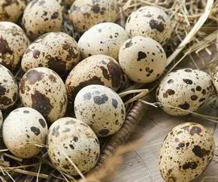 Quail eggs 