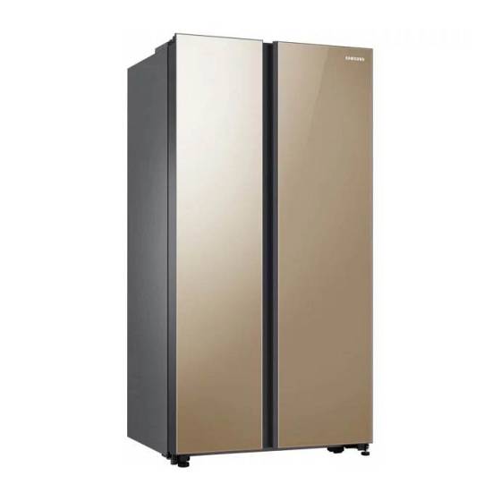 Refrigerator SBS Samsung RS62R50314G 