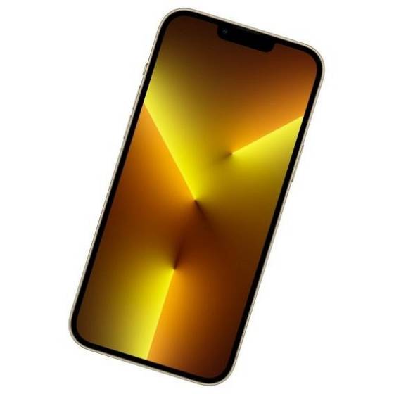 Apple iPhone 13 Pro Max 256Gb Gold 