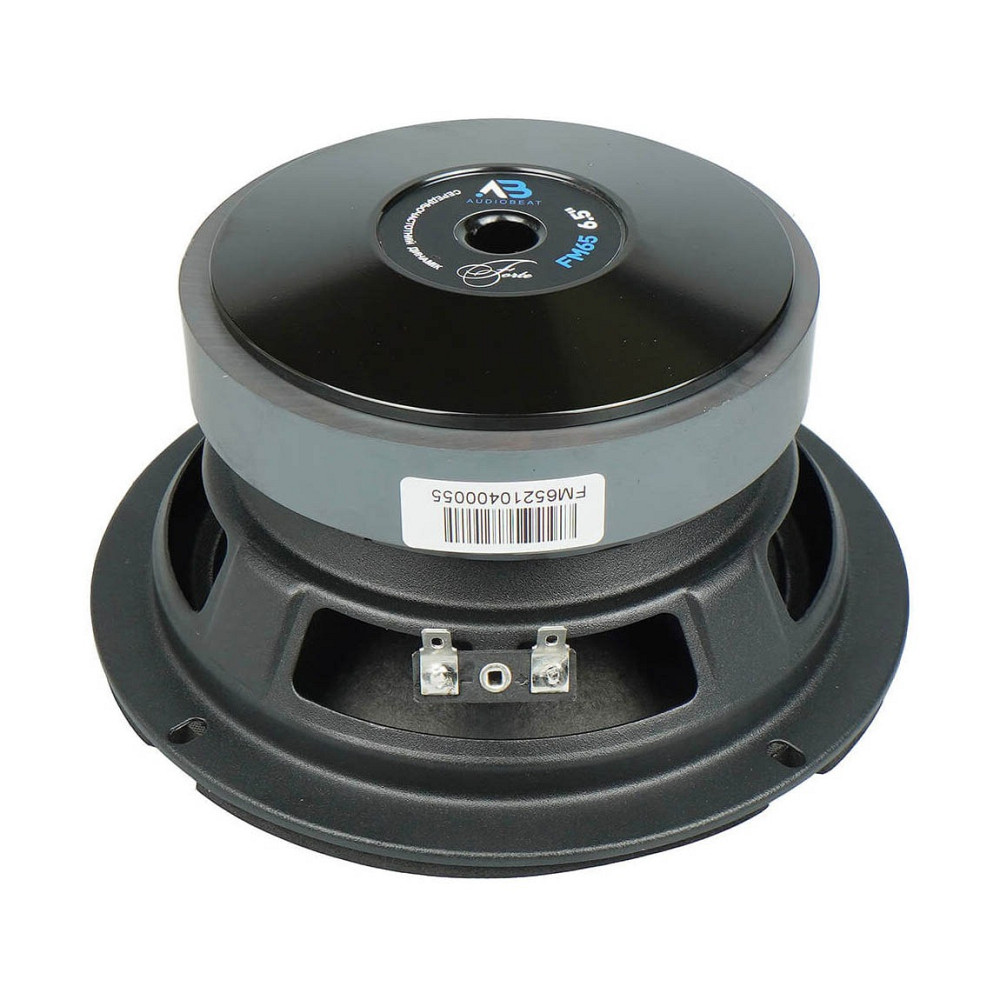 Car audio AudioBeat Forte FM65  - photo 4