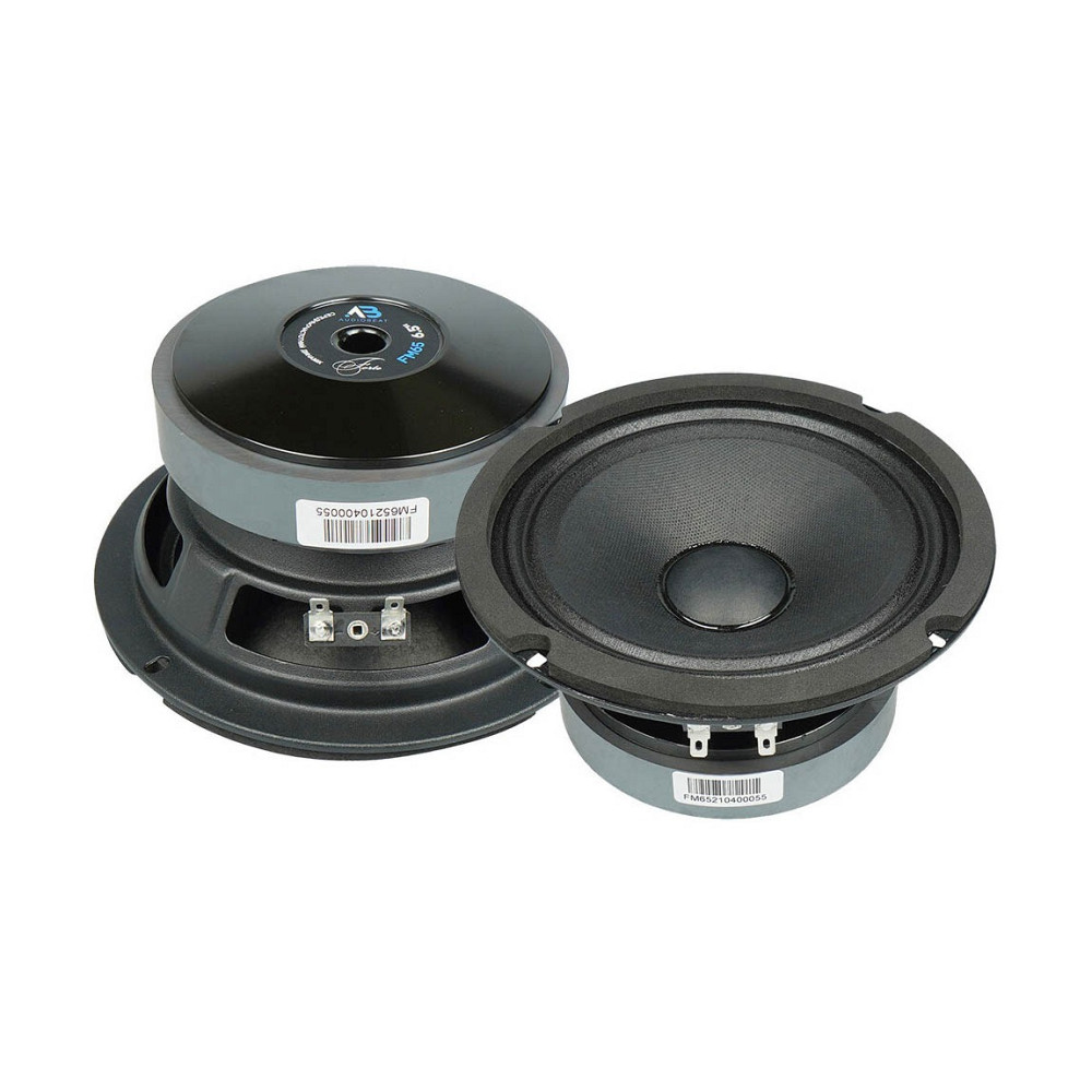 Car audio AudioBeat Forte FM65  - photo 1
