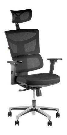 Armchair Barsky ECO G-10 